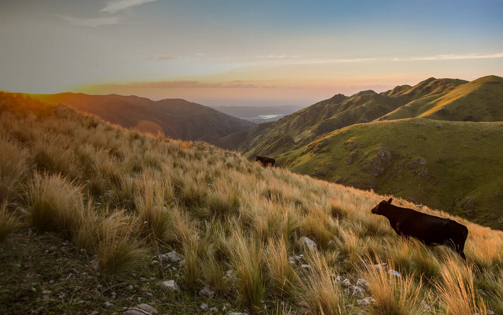 Sierras landscape in Córdoba