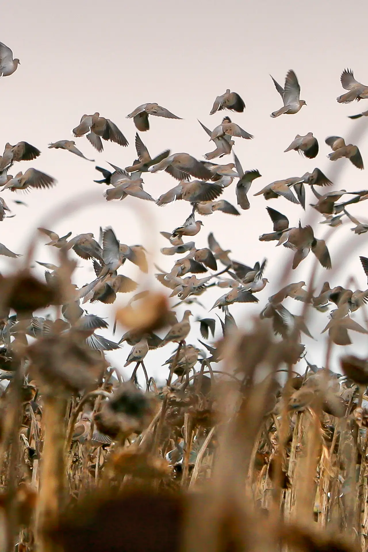 Contact page background sunset