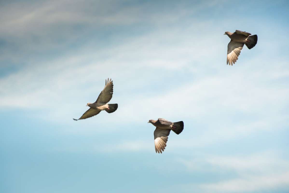 Escondido lodge exterior view