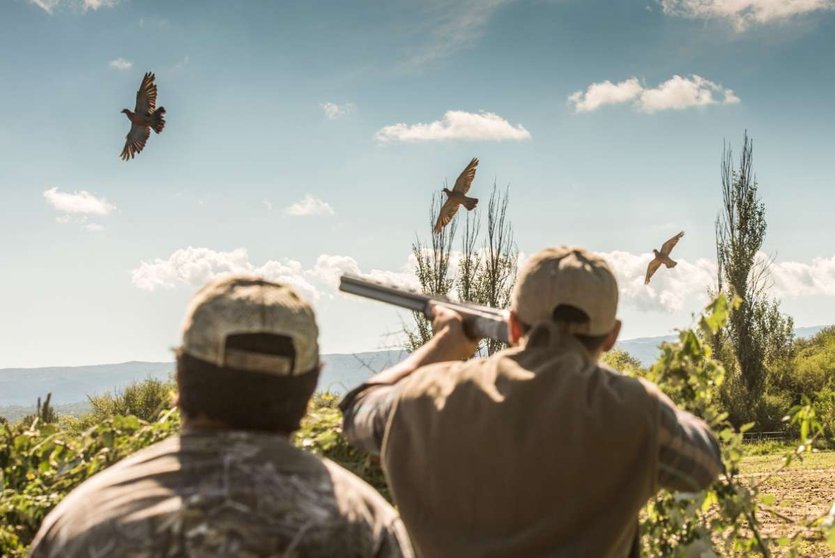 Escondido lodge patio
