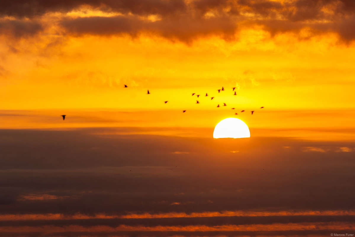 Escondido lodge garden