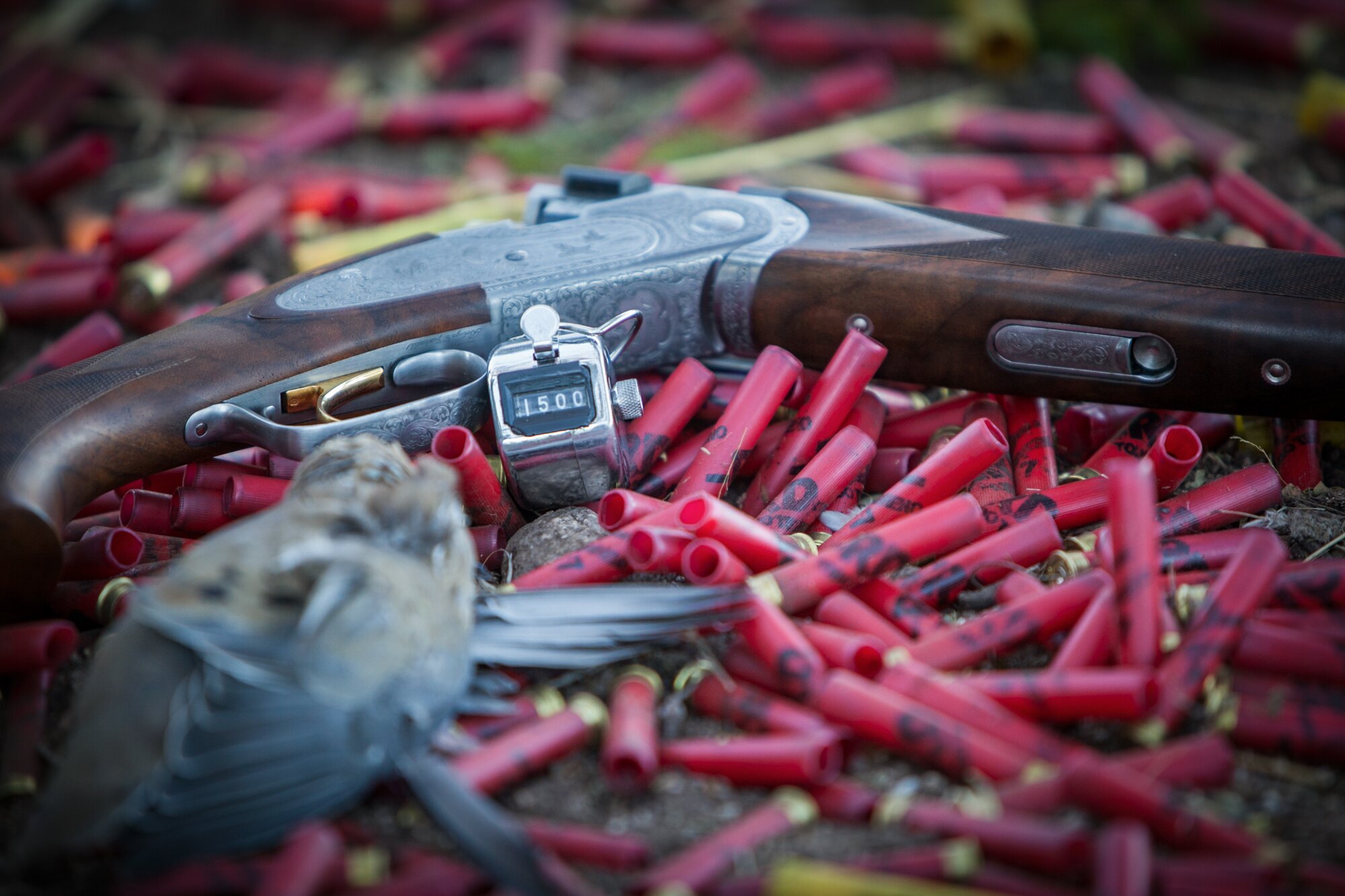 Hunter in the field at La Porteñita — Eared Dove hunting in Córdoba, Argentina