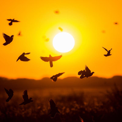 La Porteñita gallery 1