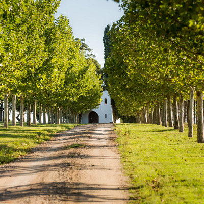 La Porteñita gallery 6