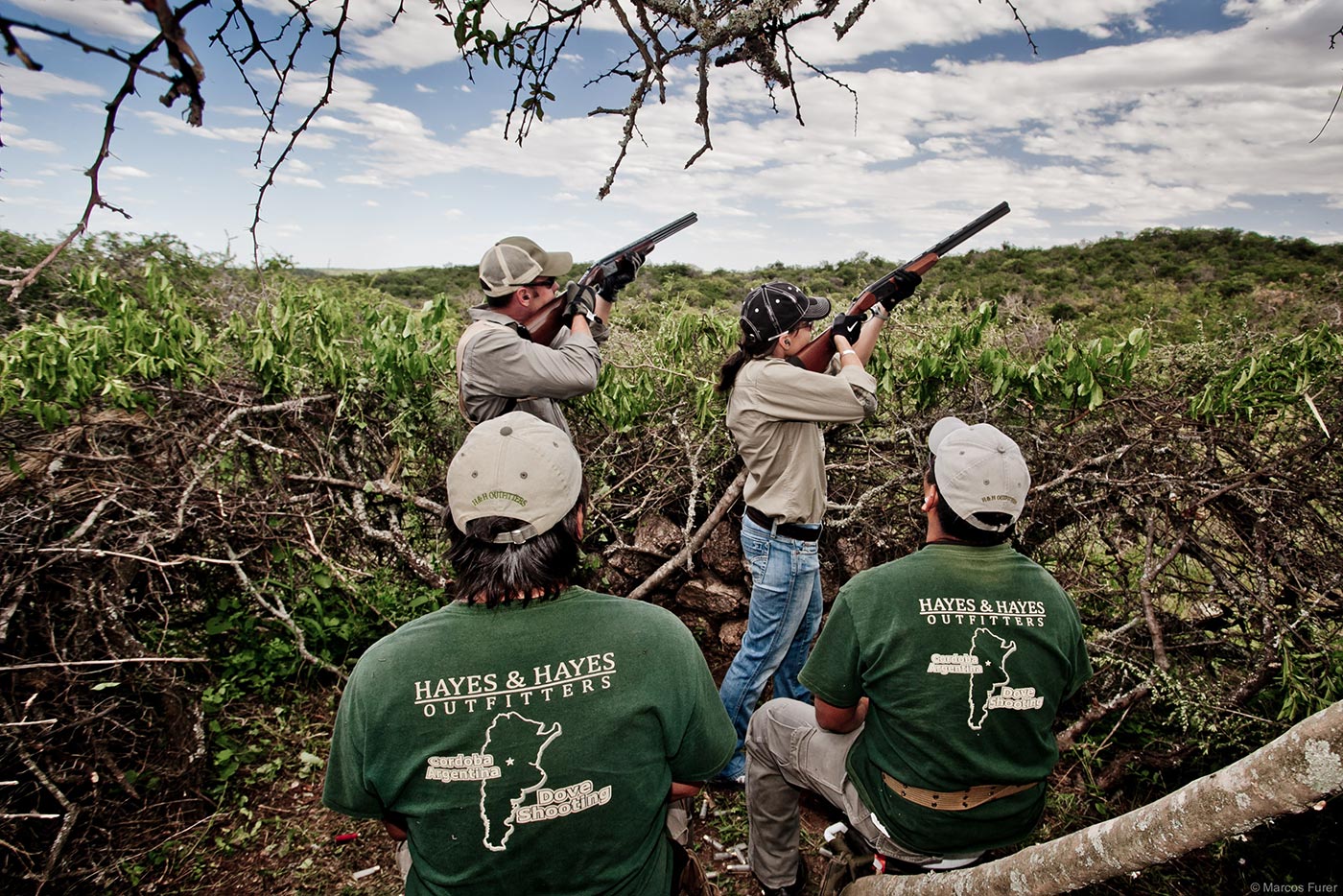 Dove shooting gallery 2