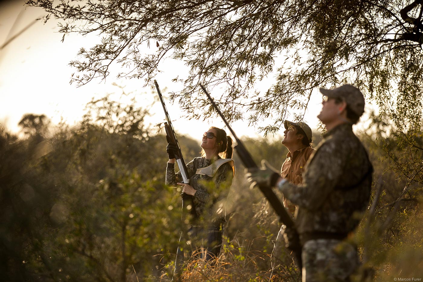 Dove shooting gallery 3