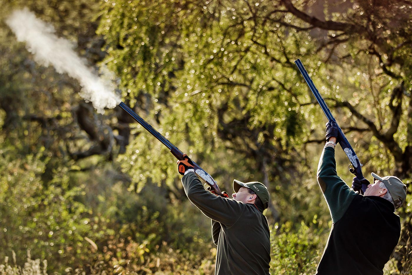 Dove shooting gallery 4