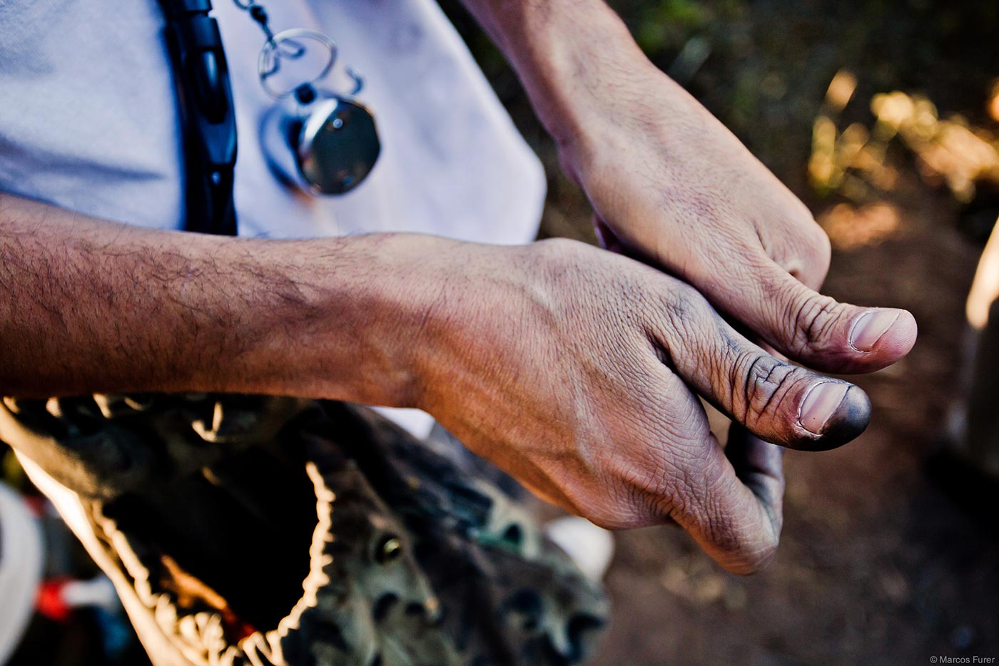 Dove shooting gallery 5