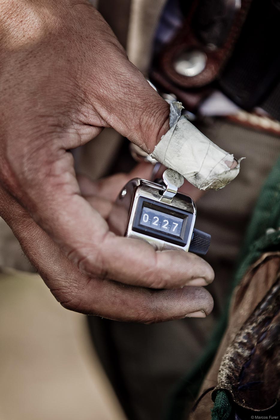 Dove shooting gallery 6