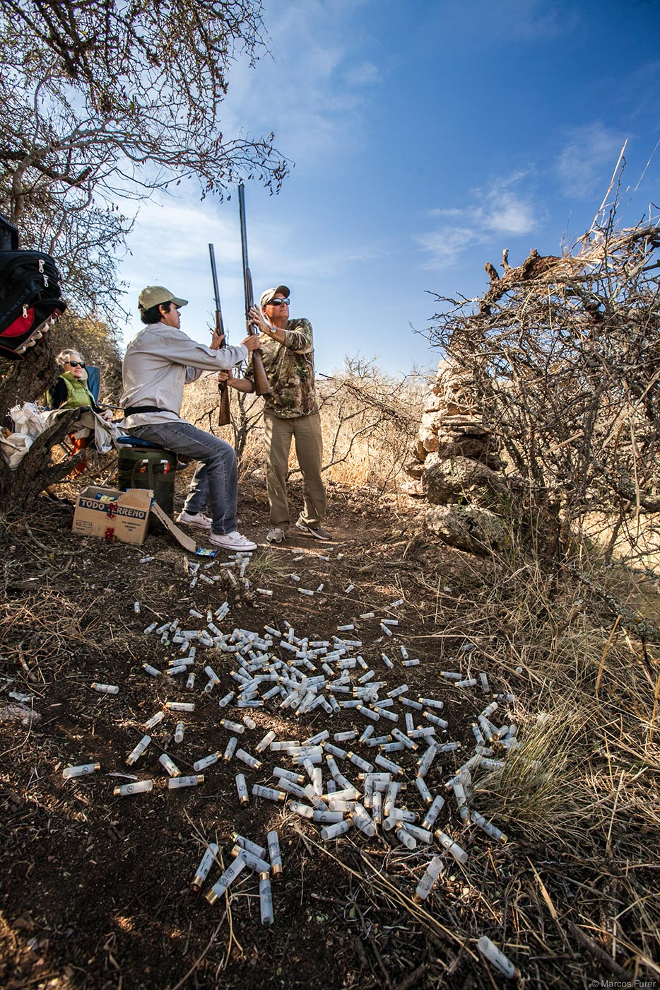 Dove shooting gallery 11
