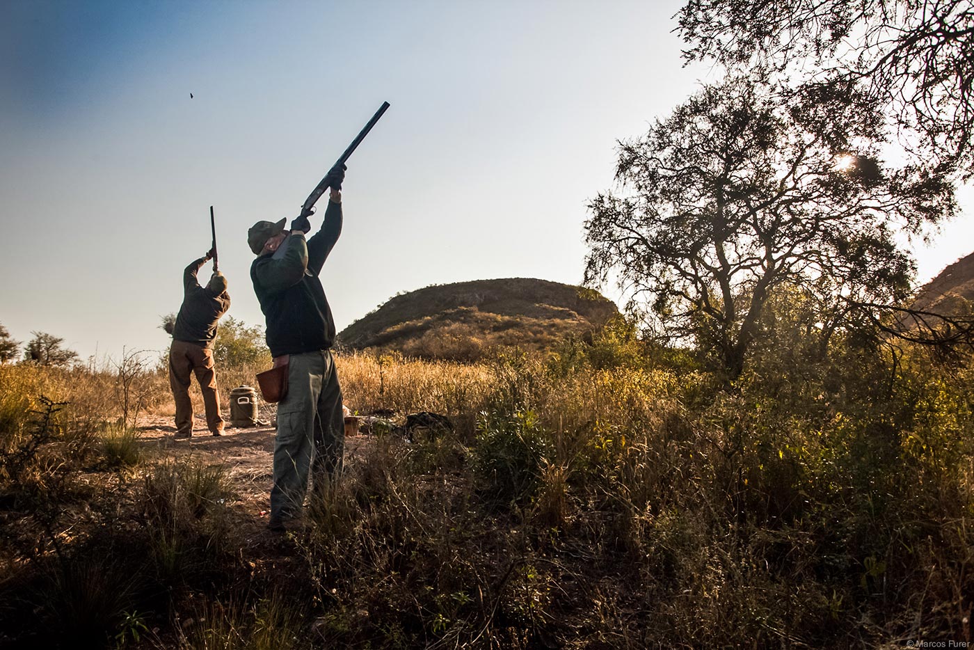 Dove shooting gallery 12