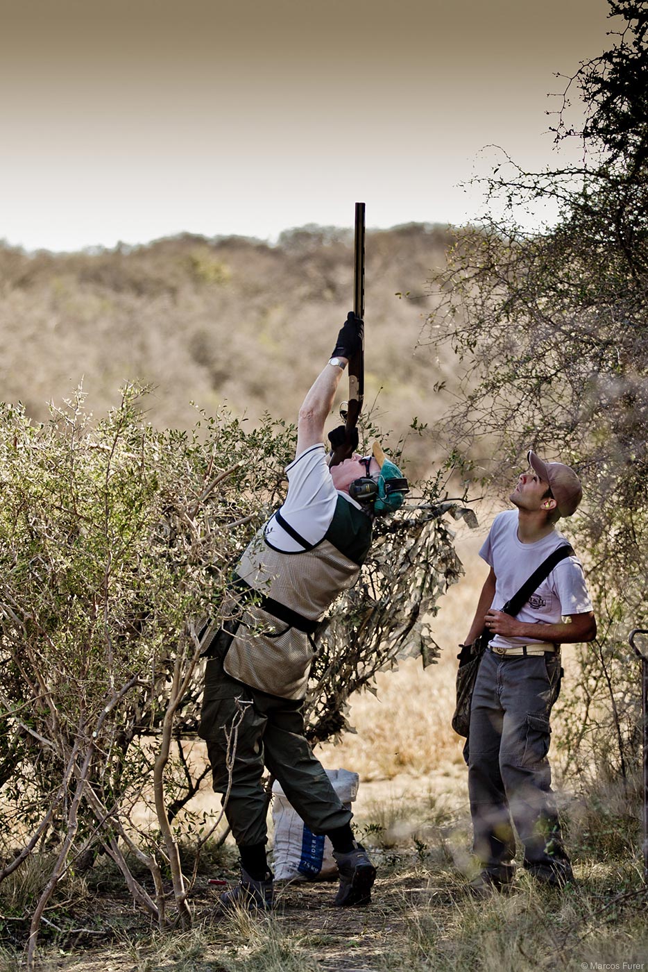 Dove shooting gallery 13