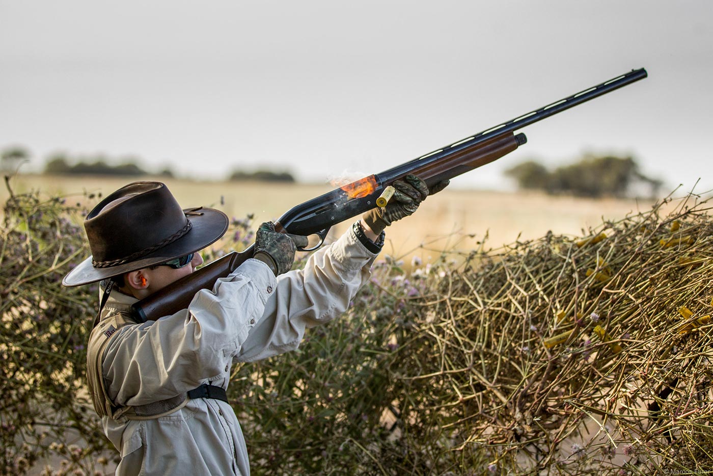 Dove shooting gallery 14