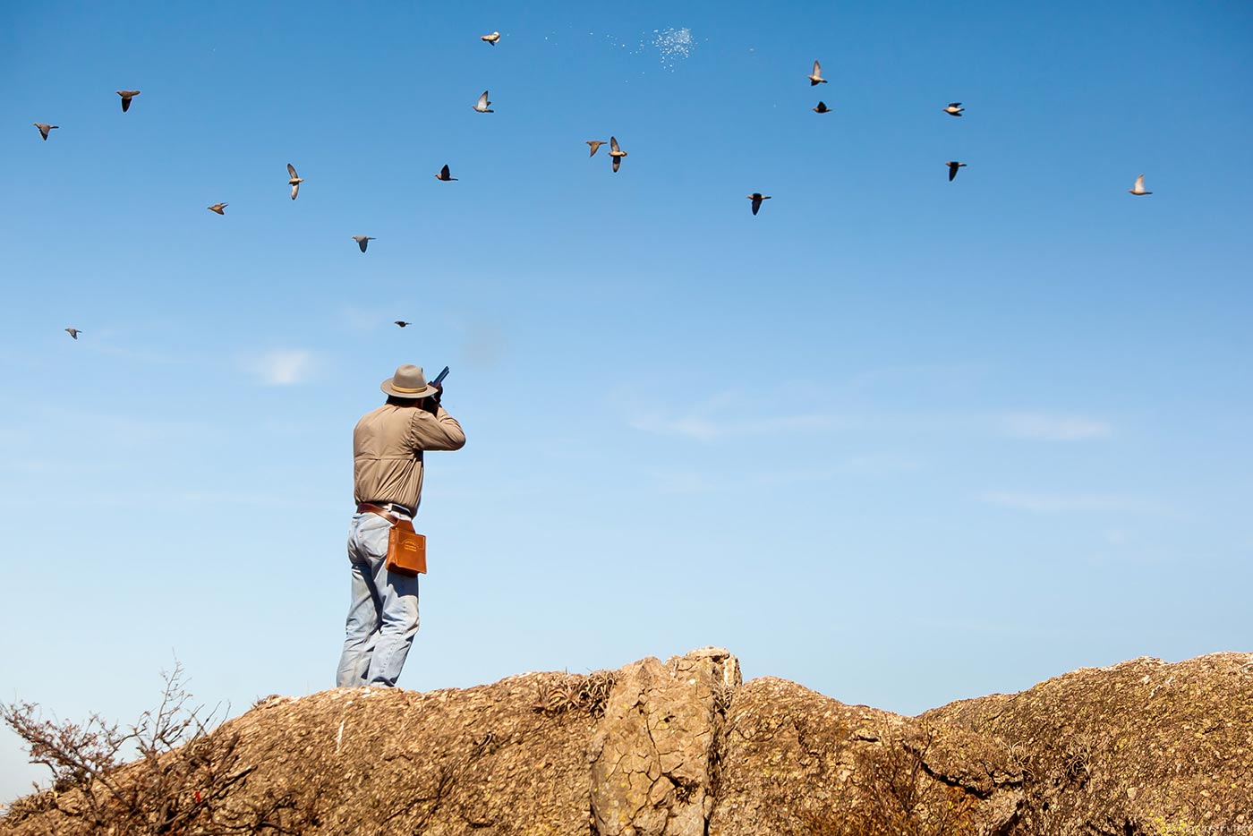 Dove shooting gallery 21