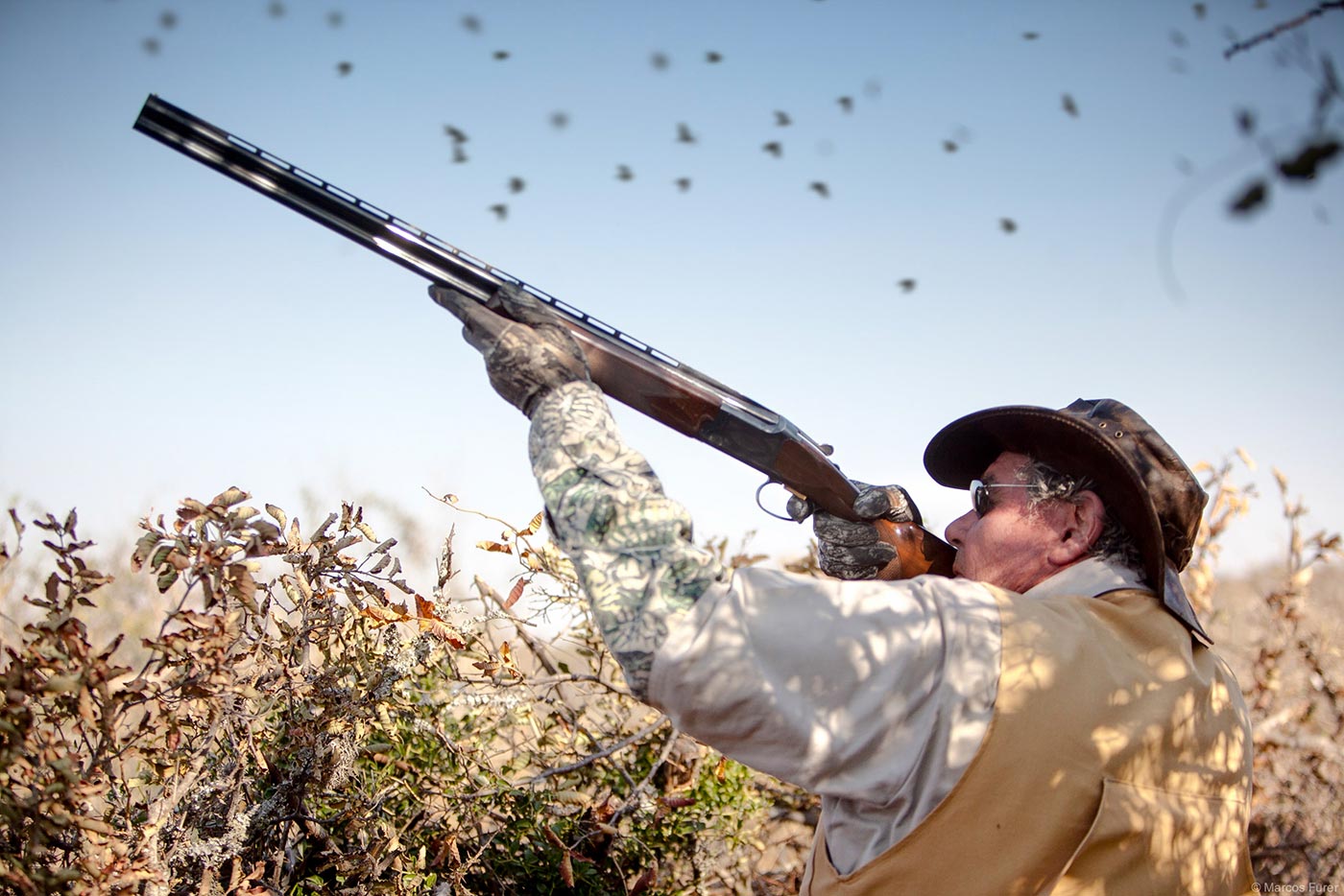 Dove shooting gallery 22